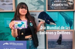Imagen muestra de la actividad Día mundia de  las ballenas y delfnes
