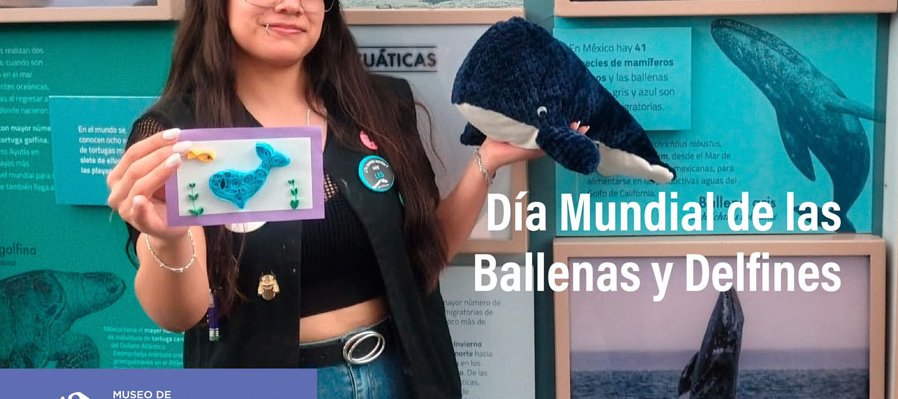 Día mundia de  las ballenas y delfnes
