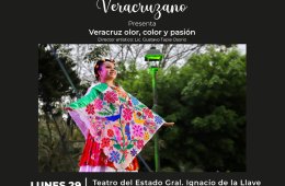 Imagen muestra de la actividad: Ballet Orgullo Veracruzano
