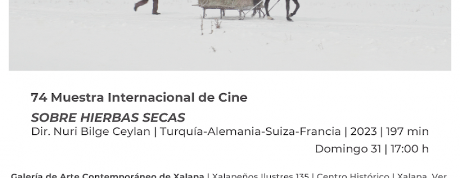 Sobre hierbas secas