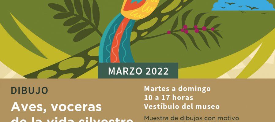 Exhibición Dibujo Aves, voceras de la vida silvestre