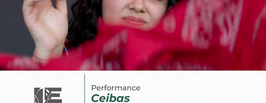 Performance Ceibas
