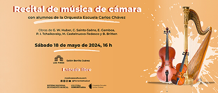 Imagen muestra de la actividad Recital de música de cámara de la OECCh