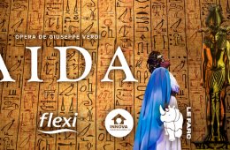 Imagen muestra de la actividad Aida