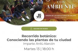 Imagen muestra de la actividad: Recorrido botánico: Conociendo las plantas de tu ciudad