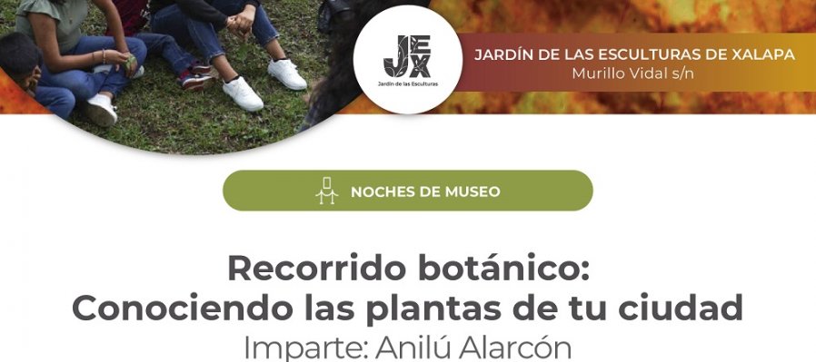 Conociendo las plantas de tu ciudad