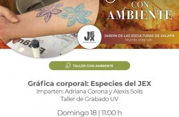 Imagen muestra de la actividad: Gráfica corporal: Especies del JEX
