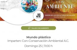 Imagen muestra de la actividad: Mundo plástico