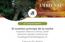 Imagen muestra de la actividad: El ocelote: príncipe de la noche