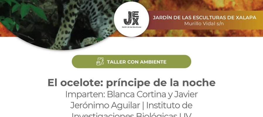 El ocelote: príncipe de la noche