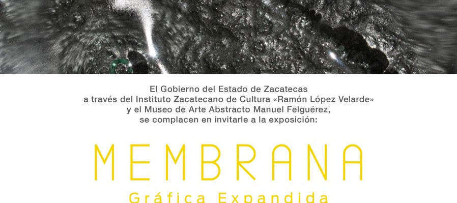 Exposición "Membrana, Gráfica Expandida" de Luis Canseco