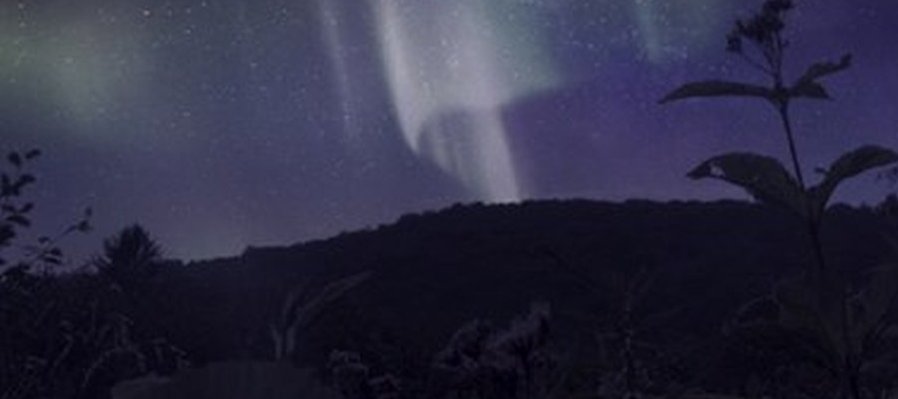 Banquete boreal
