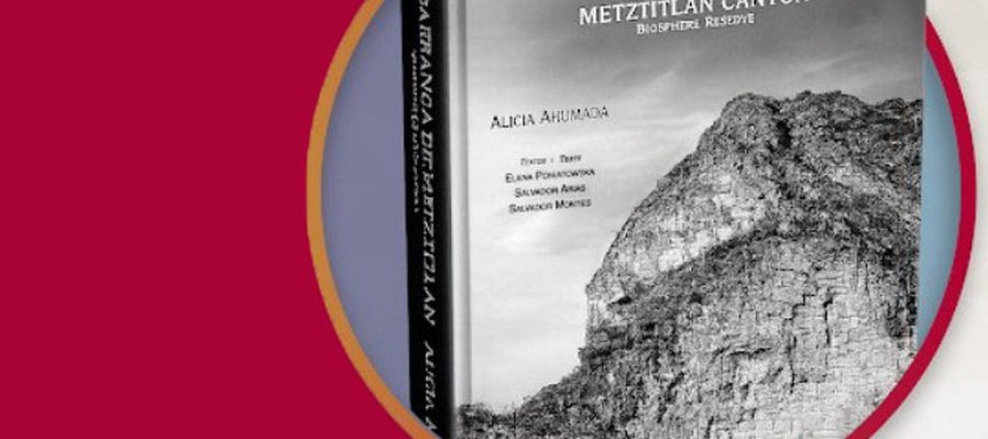 Barranca de Metztitlán