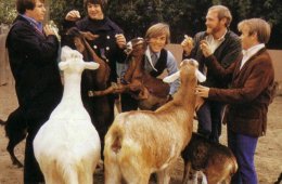 Imagen muestra de la actividad: Clásicos del Rock The Beach Boys