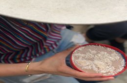 Imagen muestra de la actividad Bebidas de Oaxaca