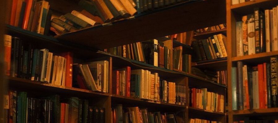 Bibliotecas como Jardines