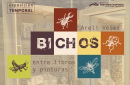 Imagen muestra de la actividad Bichos