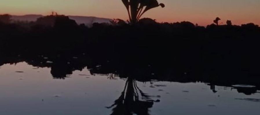 Bitácora del sueño: sembradores de esperanza