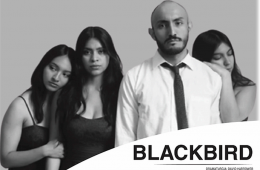Blackbird