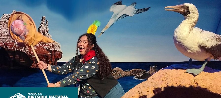 ¿Vivo en una piña o en el fondo del Museo de historia natural?