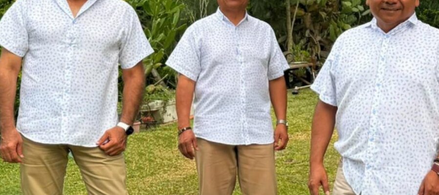 Boleros de primavera