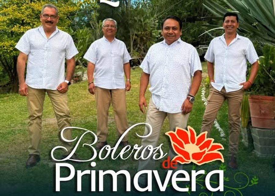 Imagen muestra de la actividad 