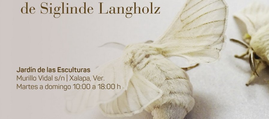 Bombyx mori: Microtejidos, muestra de Siglinde Langholz