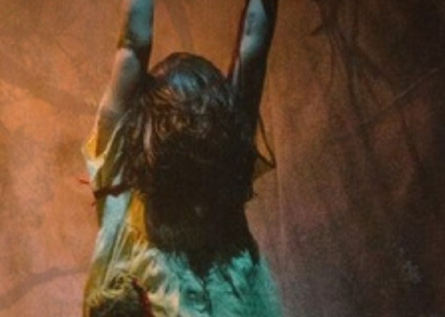 Imagen muestra de la actividad Bosque, movimiento desde lo irreversible