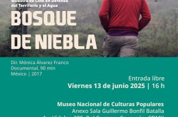Imagen muestra de la actividad Bosque de Niebla