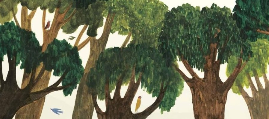 Bosque de texturas