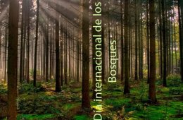 Día internacional de los bosques