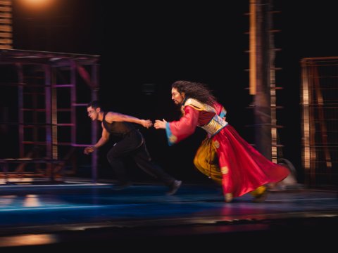 Imagen muestra de El mandarín milagroso