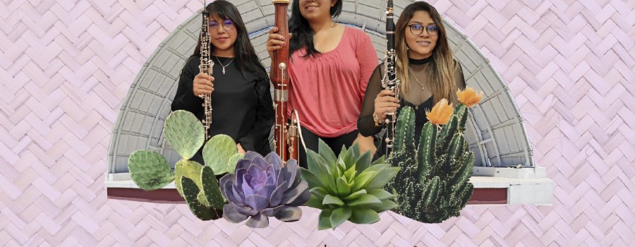 Concierto Banda Sinfónica Mixteca | Chríi... ja tsje, ja tókjan