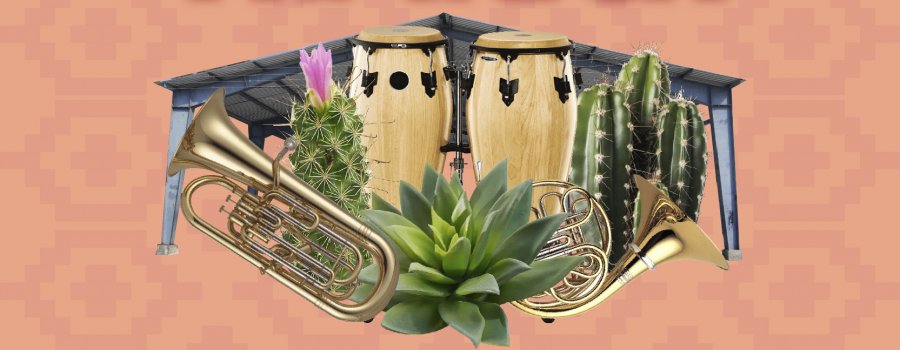 Concierto Banda Sinfónica Mixteca