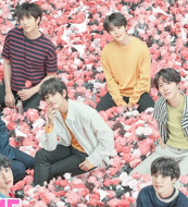 Imagen muestra de la actividad: BTS World Tour "Love Yourself: Speak Yourself" Los Ángeles