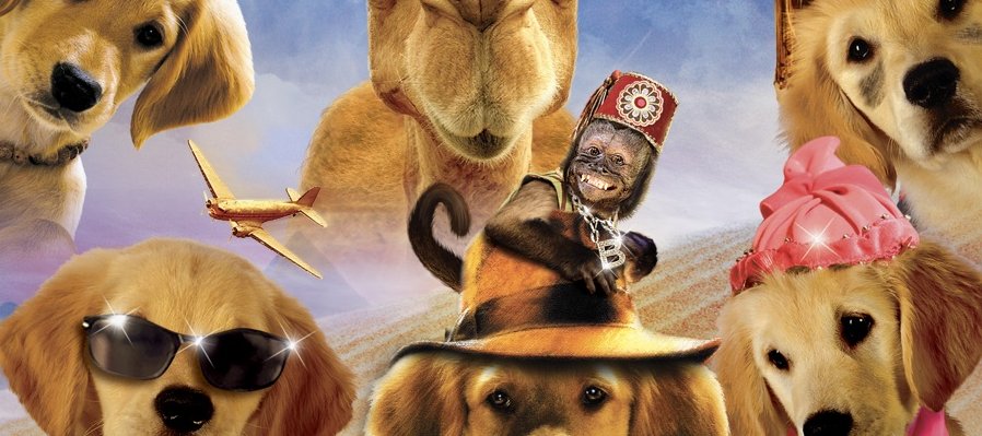 Buddies: Cazadores de tesoros