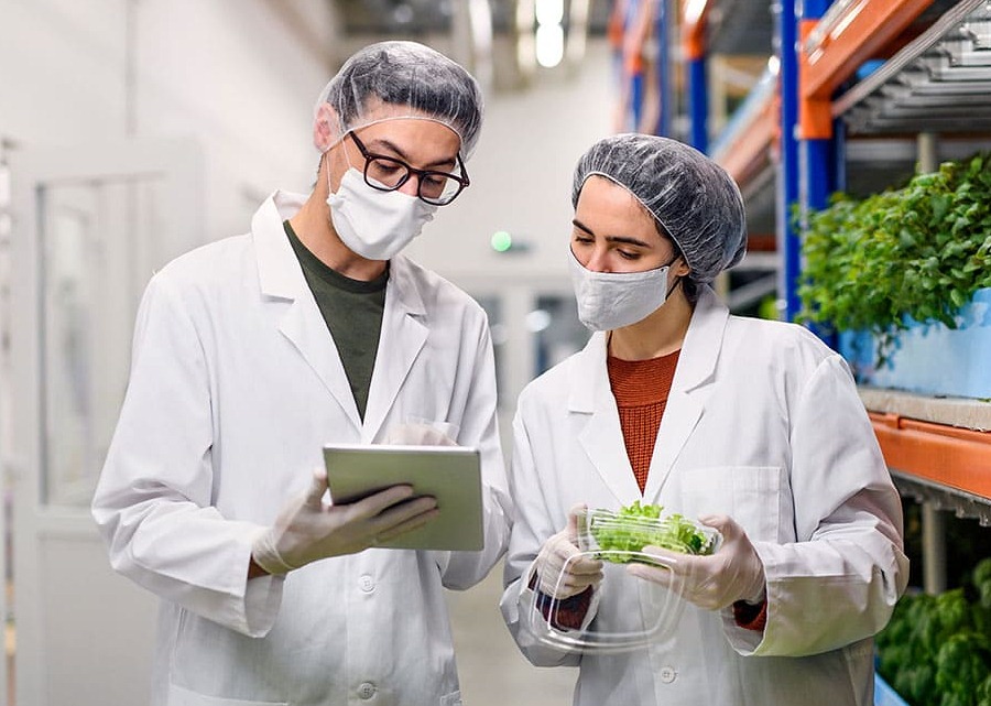 Imagen muestra de la actividad Buenas prácticas de manufactura (BPM) en la industria alimentaria