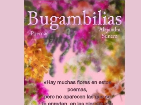 Bugambilias