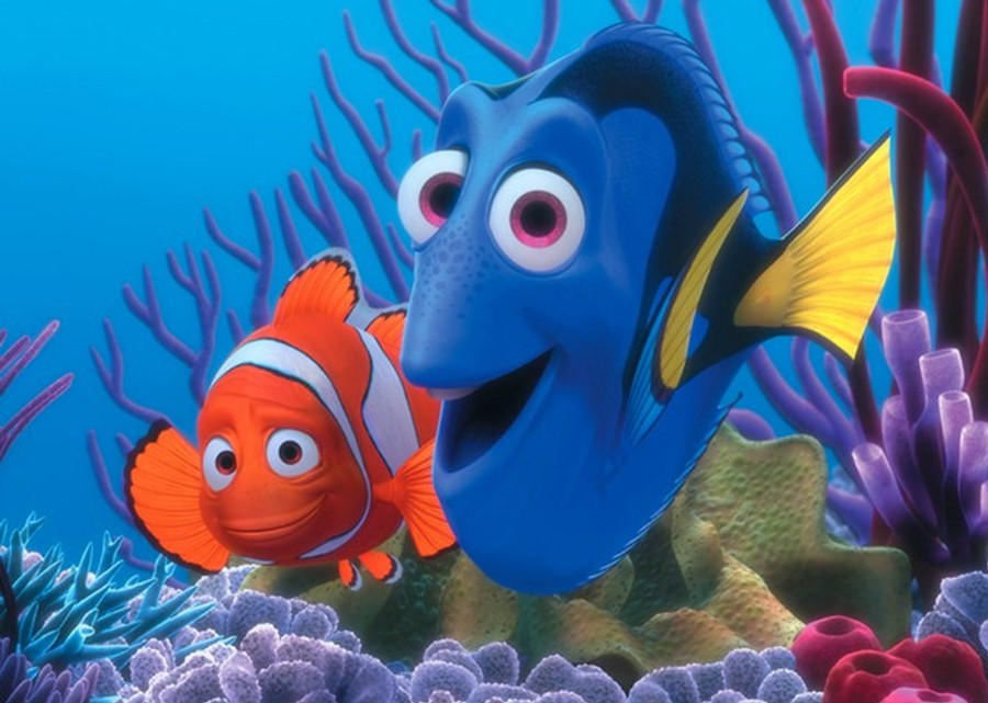 Imagen muestra de la actividad Buscando a Nemo