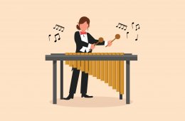 Imagen muestra de la actividad Marimba