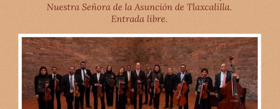 Camerata de San Luis