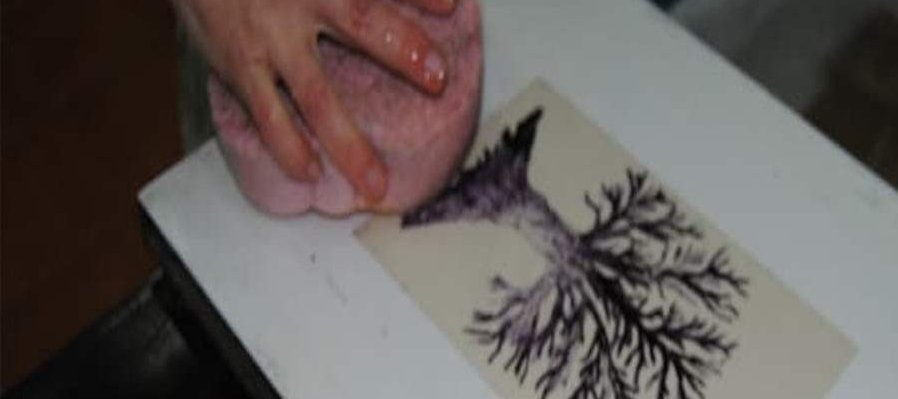 Dibuja e imprime a tu personaje actividad de dibujo en lámina de poliéster