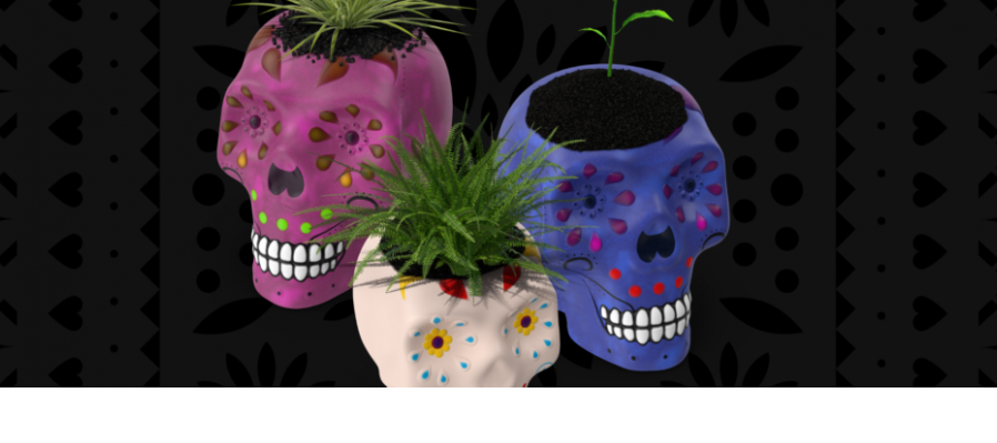 Calaveritas Compostables