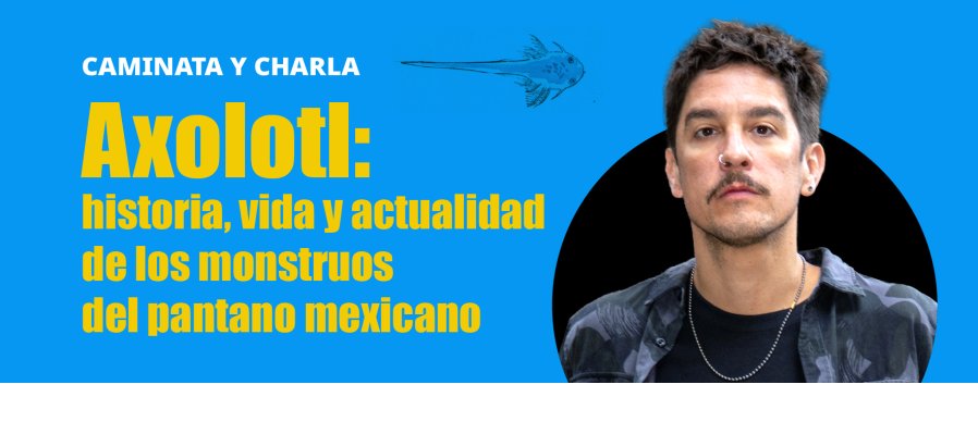 Axolotl:  historia, vida y actualidad de los monstruos  del pantano mexicano