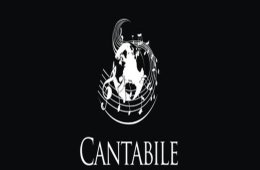 Imagen muestra de la actividad Cantabile