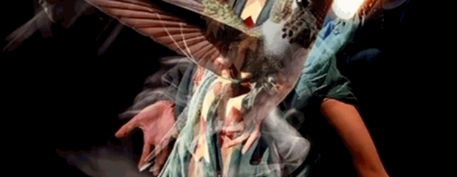 Alguna vez vi un colibrí