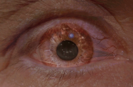 Imagen muestra de la actividad Ojo cósmico: Horror en el archivo de cine extraterrestre