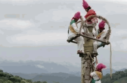 Imagen muestra de la actividad Programa especial de cortometrajes