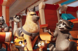 Imagen muestra de la actividad Mascotas al rescate