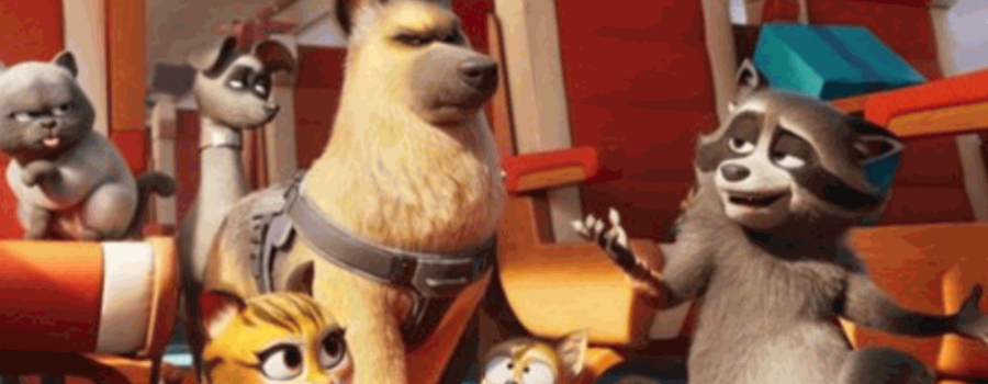 Mascotas al rescate